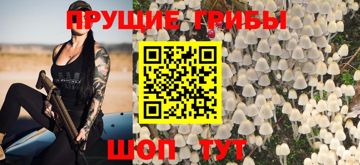 Петрозаводск  Псилоцибиновые грибы GOLDEN TEACHER  Псилоцибиновые грибы ЛСД  Вход с VPN 