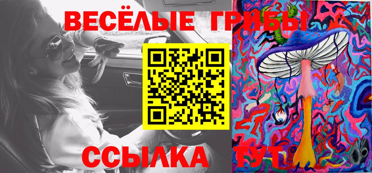 Псилоцибиновые грибы прущие грибы Петрозаводск